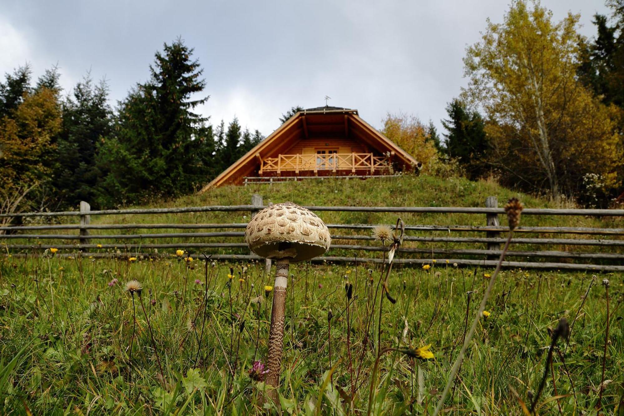 Charming Chalet Rogla Hudinja Exterior foto
