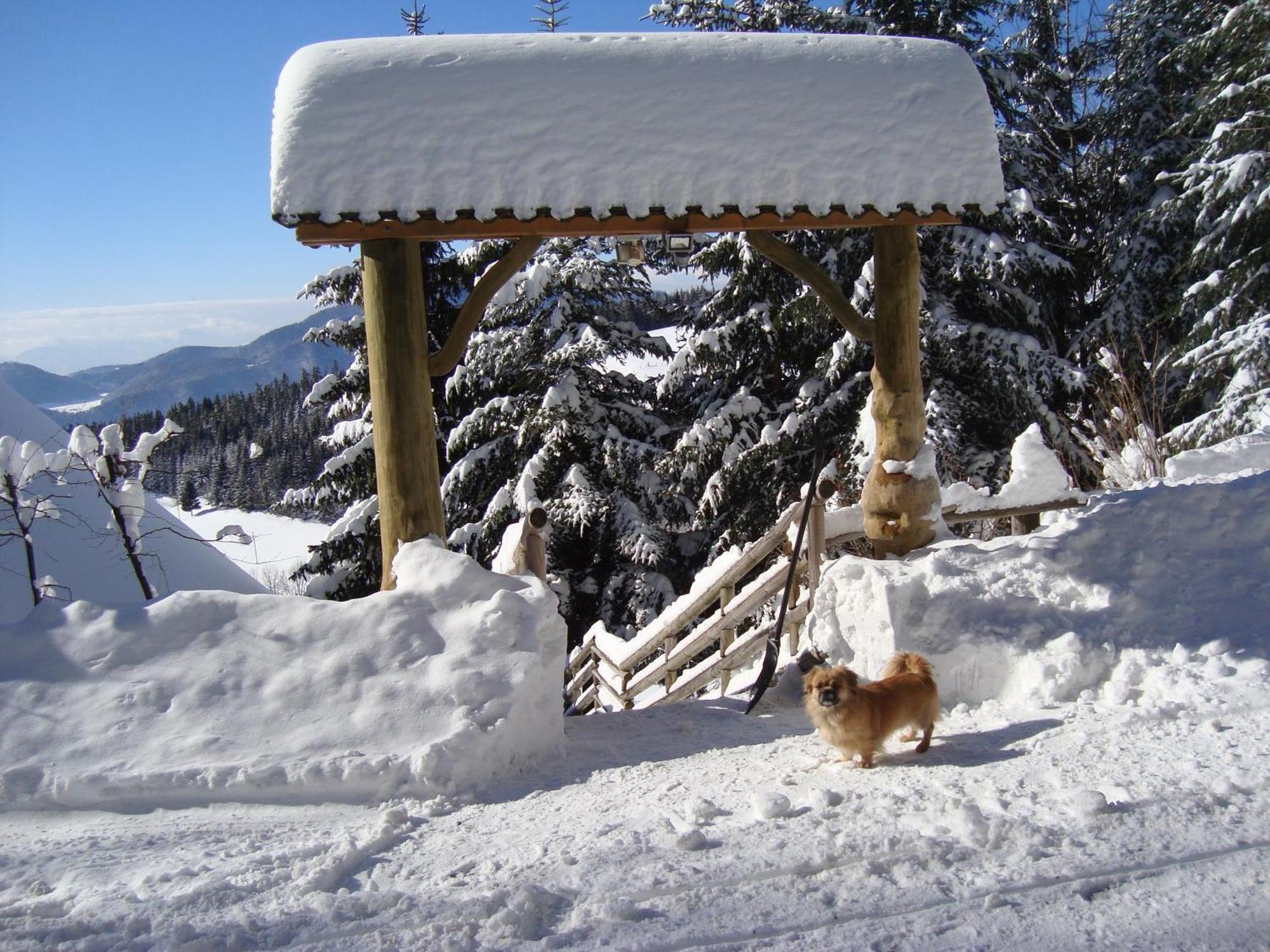 Charming Chalet Rogla Hudinja Exterior foto